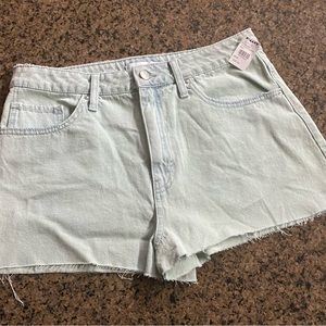 NWT , Women’s RSQ Tilly’s Denim Shorts (mint) size 30
